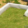 sslPET_0342 thumbnail